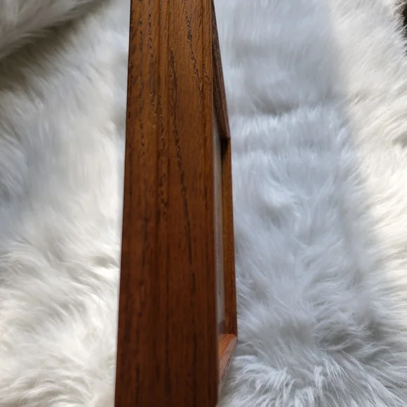 Annette Fish wooden framed print 3 cats "Mom! her whisker is touching me" - Picture 3 of 11